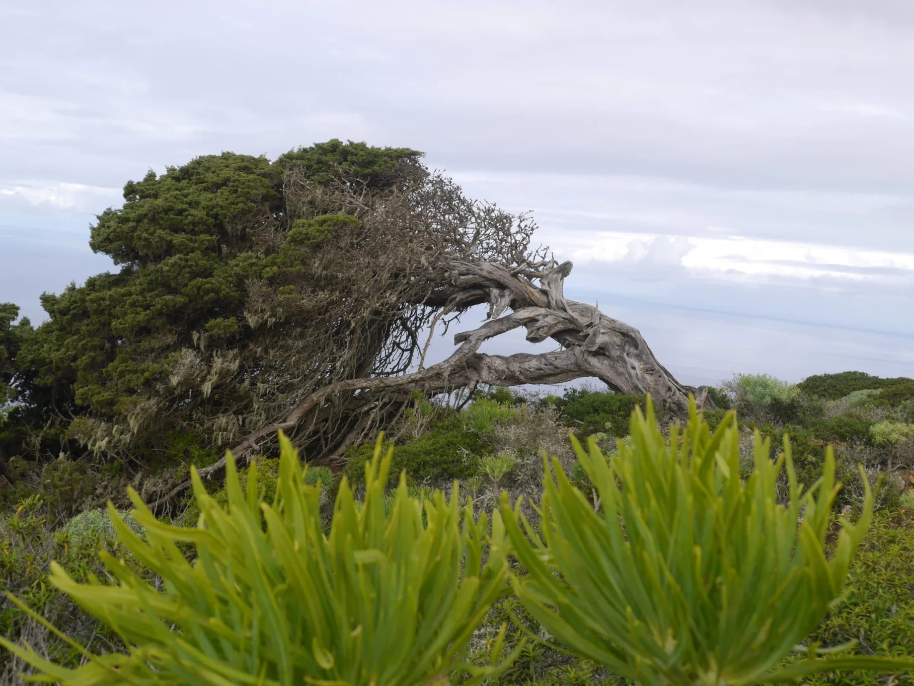 P1020833-scaled-5312fc09