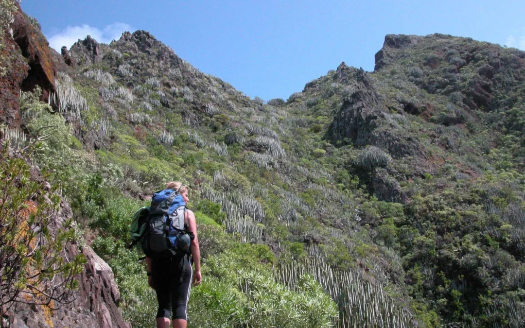 Tenerife, l’essentiel de l’île