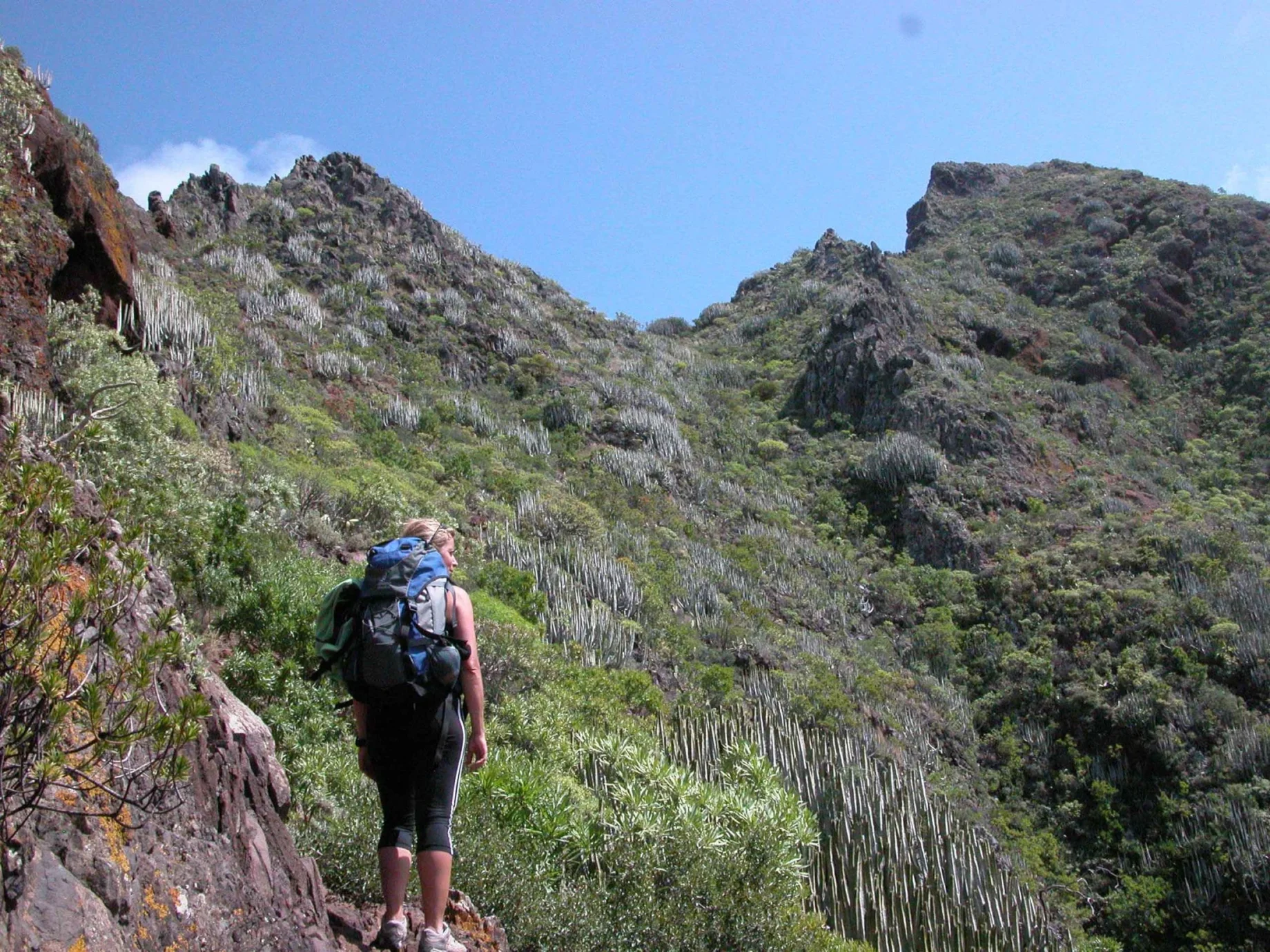 anaga4-scaled-72275ce3 Séjours trek aux îles Canaries