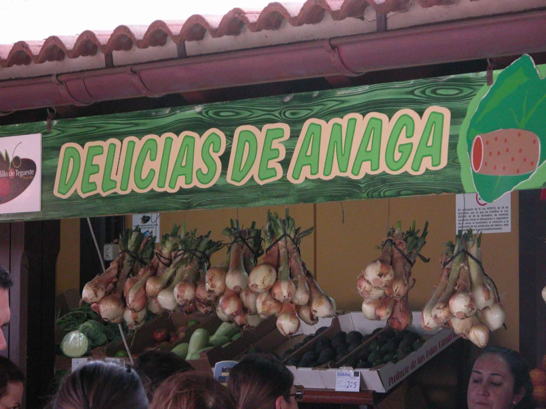 anaga5-scaled-3bcef1fc