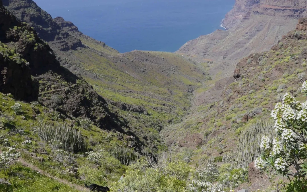 Güi-Güi, le mini-trek sauvage