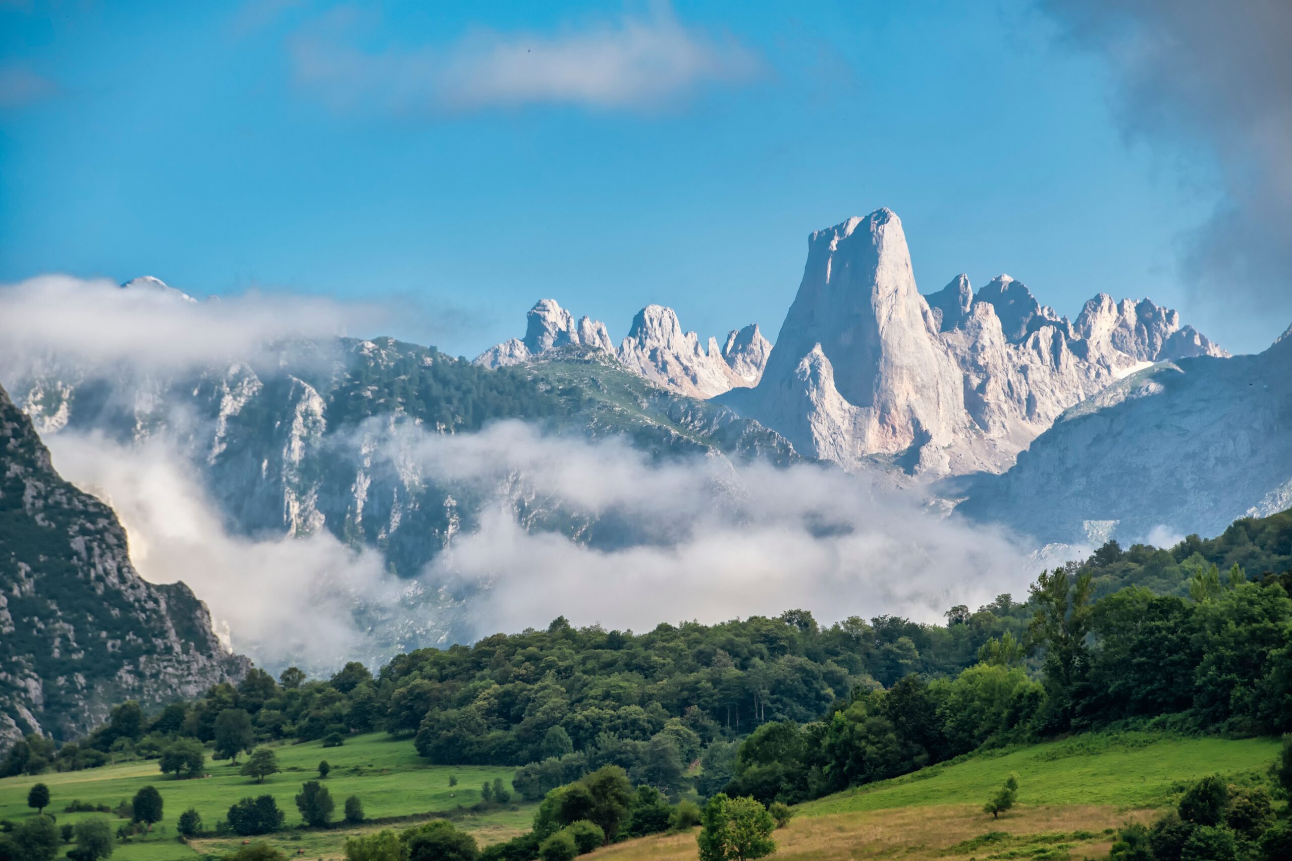 pexels-enrique72-8762088